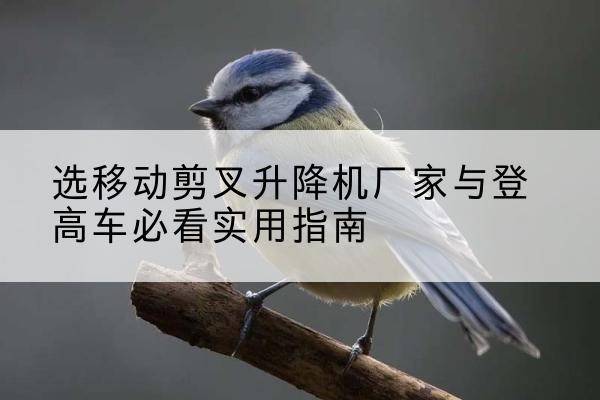 长宁电动升降机厂家-选移动剪叉升降机厂家与登高车必看实用指南