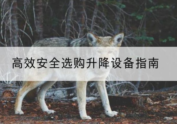 长宁升降货梯厂家推荐-*安全选购升降设备指南